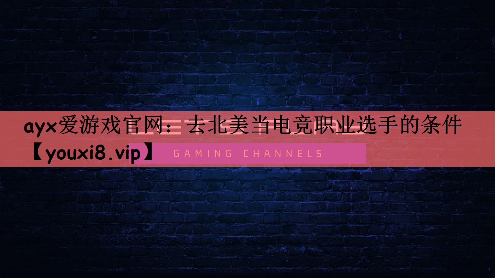 ayx爱游戏官网：去北美当电竞职